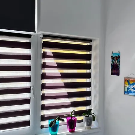 Summer Vibe - La Curte Constanţa