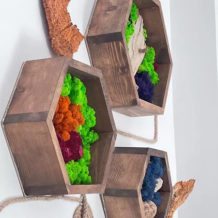 Summer Vibe - La Curte