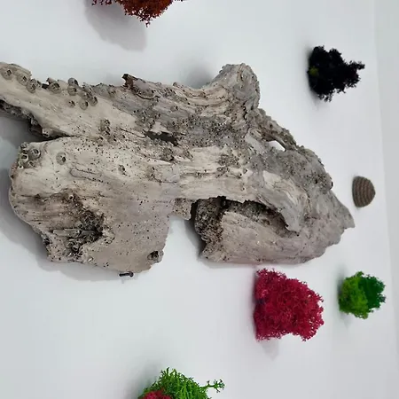 Summer Vibe - La Curte Ubytování v soukromí *