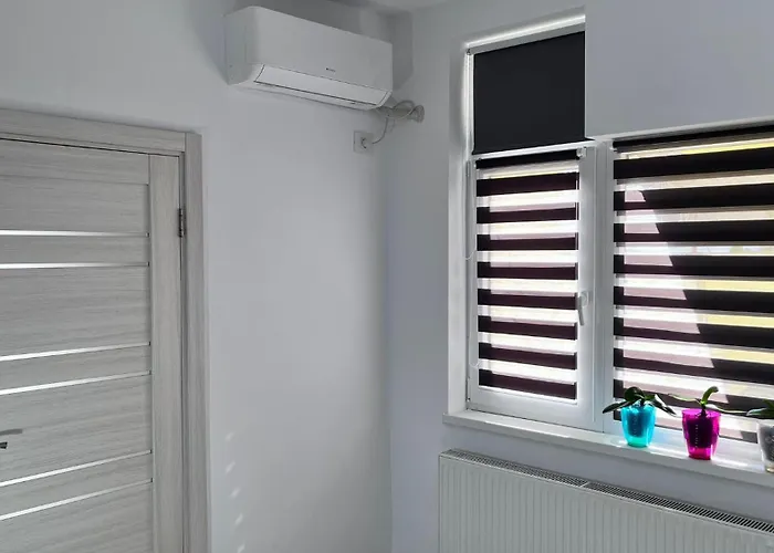 Summer Vibe - La Curte コンスタンツァ