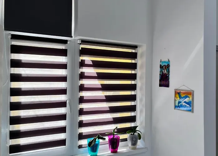 Summer Vibe - La Curte コンスタンツァ