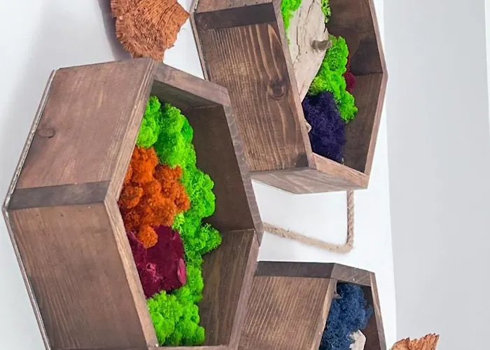 Summer Vibe - La Curte