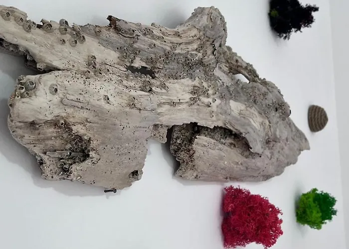 Summer Vibe - La Curte ホームステイ *